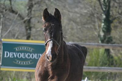 ON THE TOP SALINIERES
