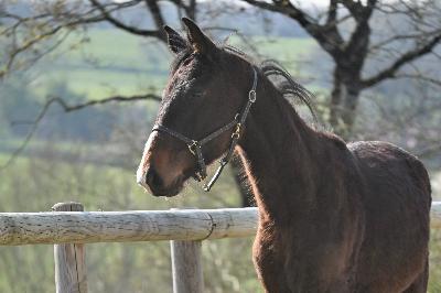 ON THE TOP SALINIERES
