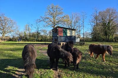 Ourale du Bourrisson en hiver