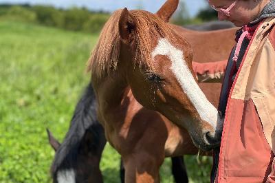 OLLIVANDER BRH&#039;ENDHIL