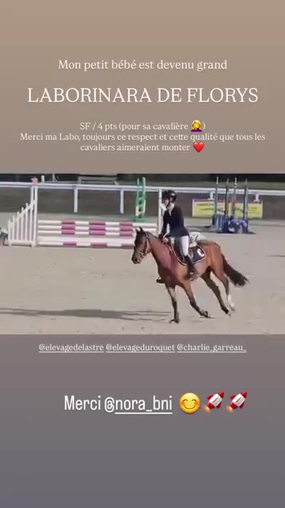 OR SERIE DU ROQUET