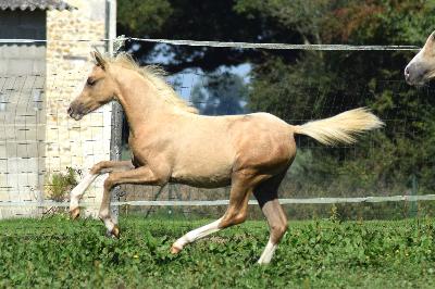 RUBIS PRETTY TIED UP