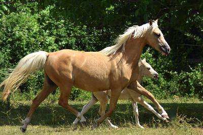 RUBIS PRETTY TIED UP