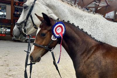 POURKOI PA DU MINERET