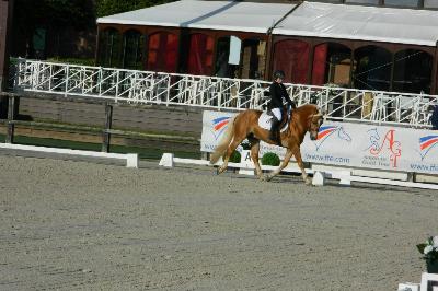 Axo ne de fayt &agrave; Jardy (son p&egrave;re)