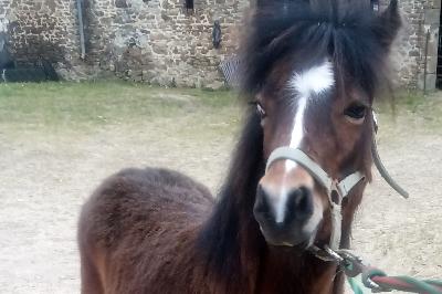 Popcorn de Sicardi&egrave;re