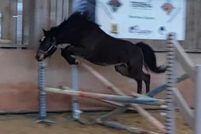 New Delhi d'Alam son p&egrave;re