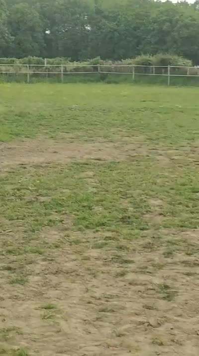 QANONO DE CY
