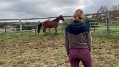 WILLANDRY DE CHAMPENOTTE