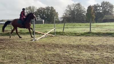 WILLANDRY DE CHAMPENOTTE