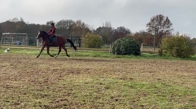 WILLANDRY DE CHAMPENOTTE