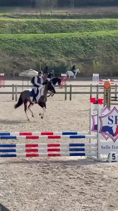 QUARTZ T.I. DE L'EPINETTE