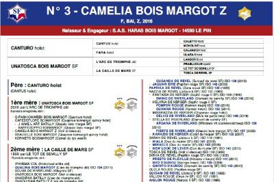QAMASSIA DU BOCAGE Z