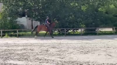 SAFFIRA VAN'T GOOVAHOF