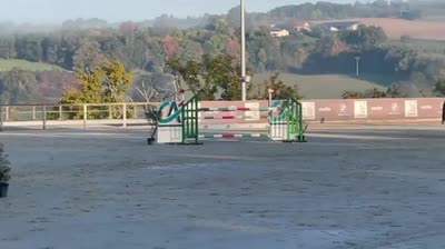 SAFFIRA VAN'T GOOVAHOF