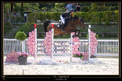 PANDORA D&#039;HORTINCOURT