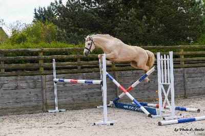 Lumos Endhil d'Alam, son p&egrave;re