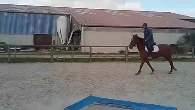 VIGOROUSSE DE TOSCANE Z