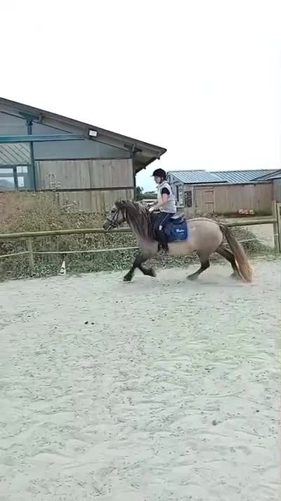 DOLLAR OF WHITEFIELD