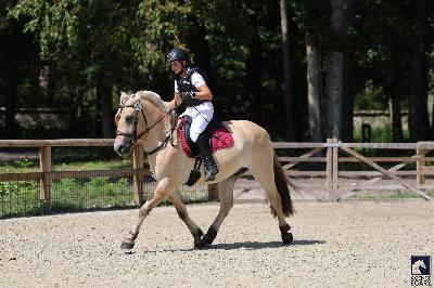 Rino So&#039;Pony 2025