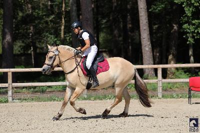 Rino So&#039;Pony 2025