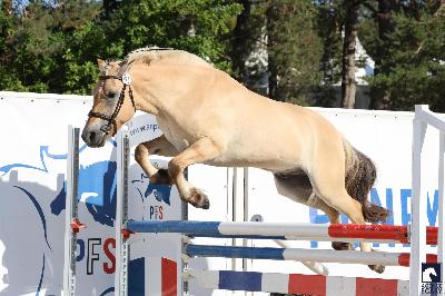 RINO So&#039;Pony 2025