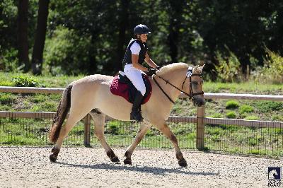 Rino So&#039;Pony 2025