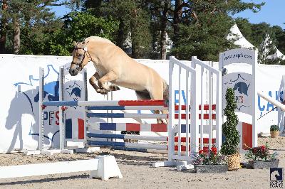 Rino So&#039;Pony 2025