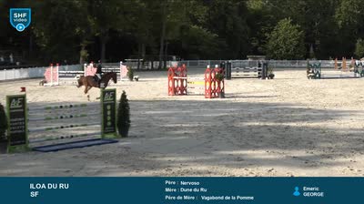Miniature vidéo