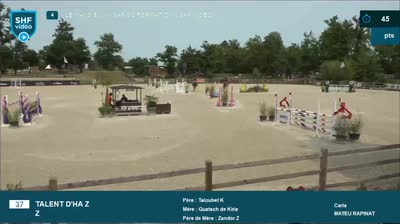 Miniature vidéo