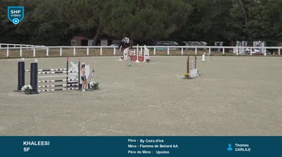 Miniature vidéo