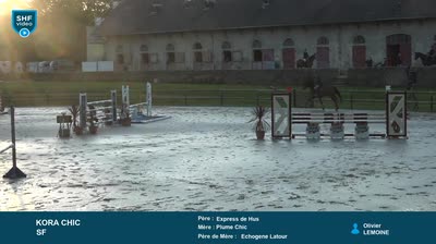 Miniature vidéo