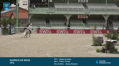 Miniature vidéo