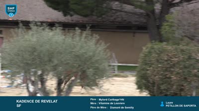 Miniature vidéo