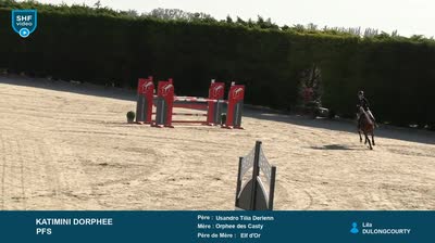 Miniature vidéo