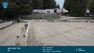 Miniature vidéo
