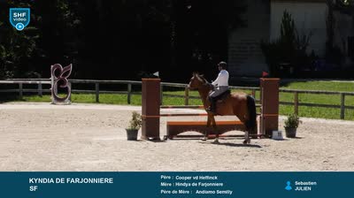 ST REMY DE PROVENCE - 2026-05-11