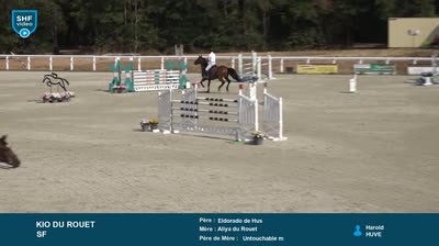 LE LION D'ANGERS - 2026-07-14