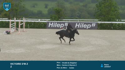 Miniature vidéo