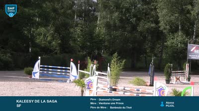 Miniature vidéo