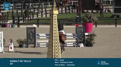Miniature vidéo