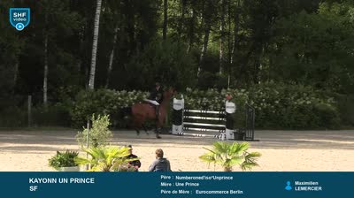 Miniature vidéo