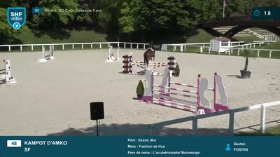 Miniature vidéo