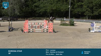Miniature vidéo