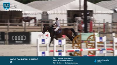 NIMES CENTAURE ELEVAGE - 2026-06-16