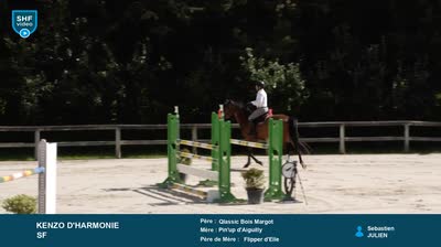 ST REMY DE PROVENCE - 2026-05-11