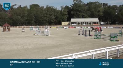 Miniature vidéo