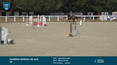 Miniature vidéo