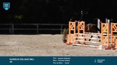 Miniature vidéo