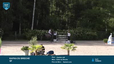 Miniature vidéo